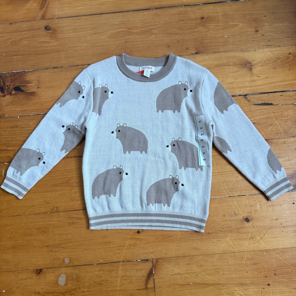 Cat&Jack toddler sweater size 4t